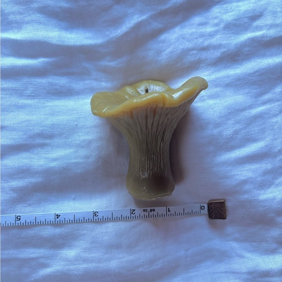 Homemade All-Natural Toxic Free 100% Beeswax Mushroom "Chanterelle" Candle - Picture 5 of 5